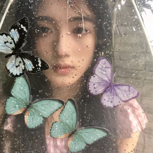 pvc道具蝴蝶拍照脸部小红书同款