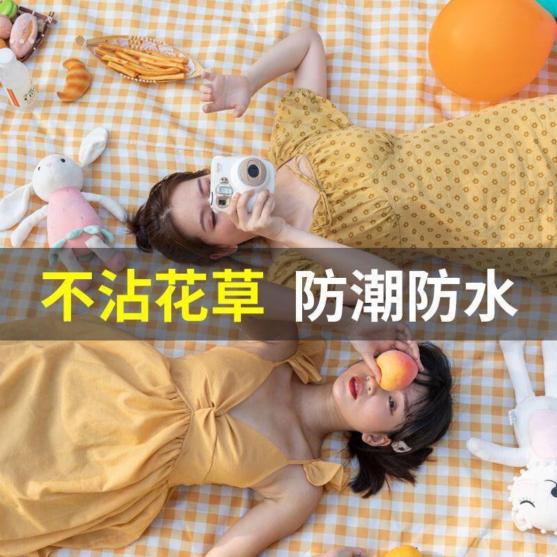 野餐垫户外防水防潮加厚坐垫便携野外野炊地垫布露营帐篷草地毯子