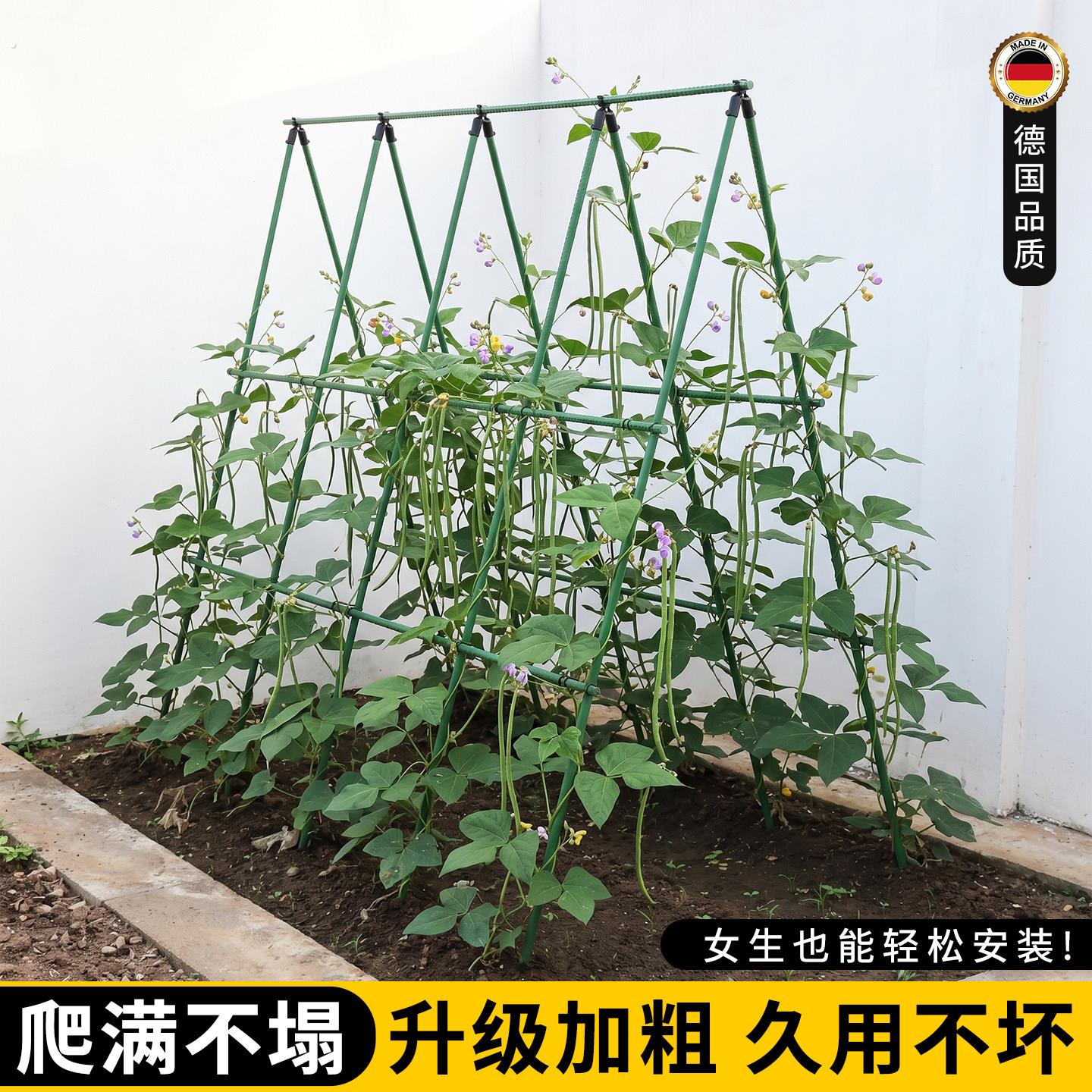豆角黄瓜爬藤架楼顶种菜四季豆架杆菜园支撑杆子丝瓜蔬菜种植家用