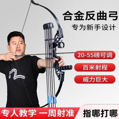 弓箭成年人室内弓射击射箭户外传统复合弓成年人反曲弓专业套装景