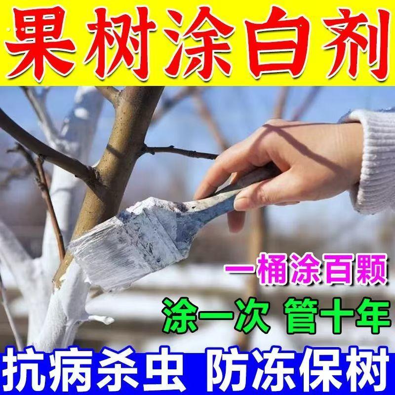 树木涂白剂大树刷白树干果树防虫防冻防寒冻石灰粉剂抗寒冬季