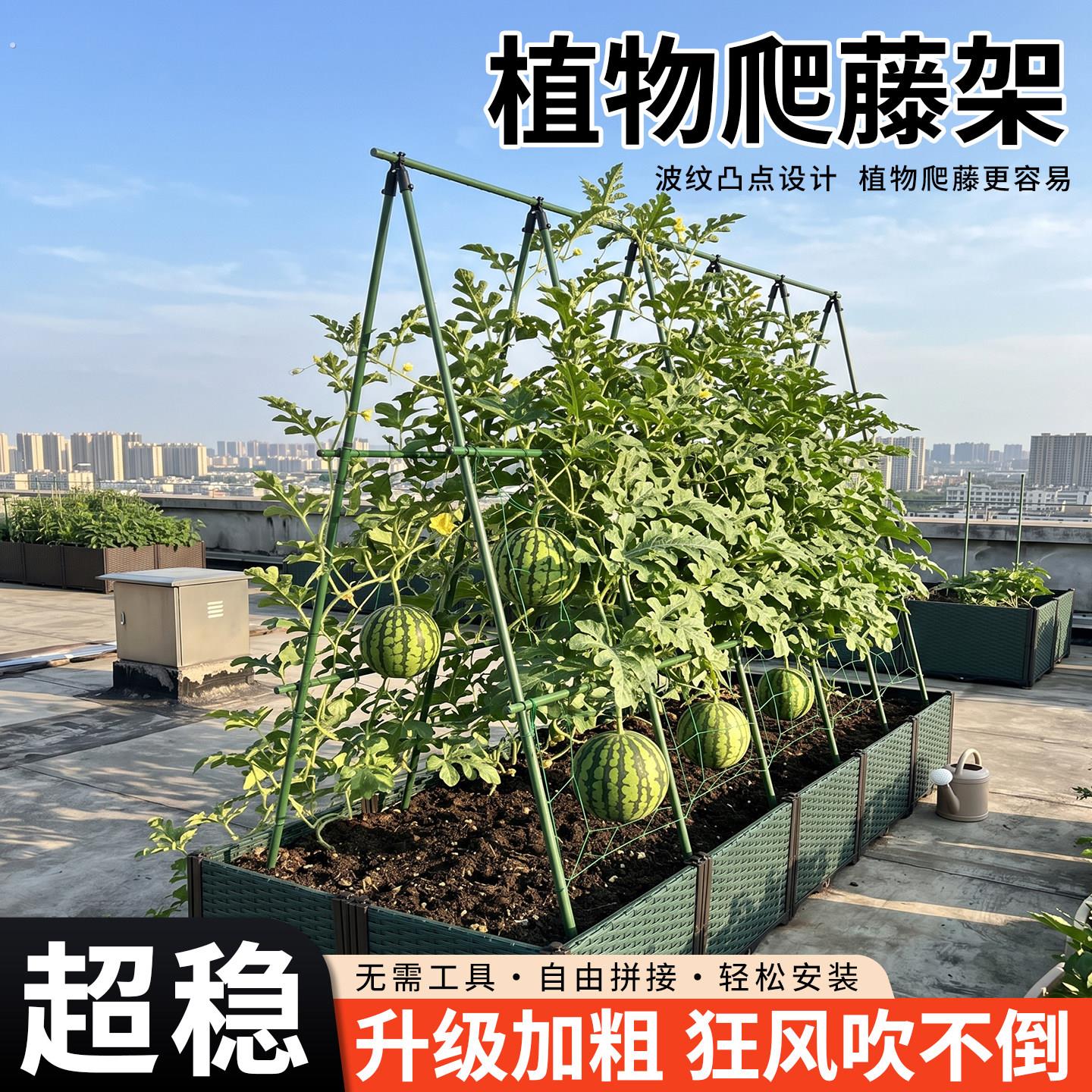 西瓜爬藤架楼顶种菜四季豆豆角架杆黄瓜支撑杆子丝瓜蔬菜种植家用