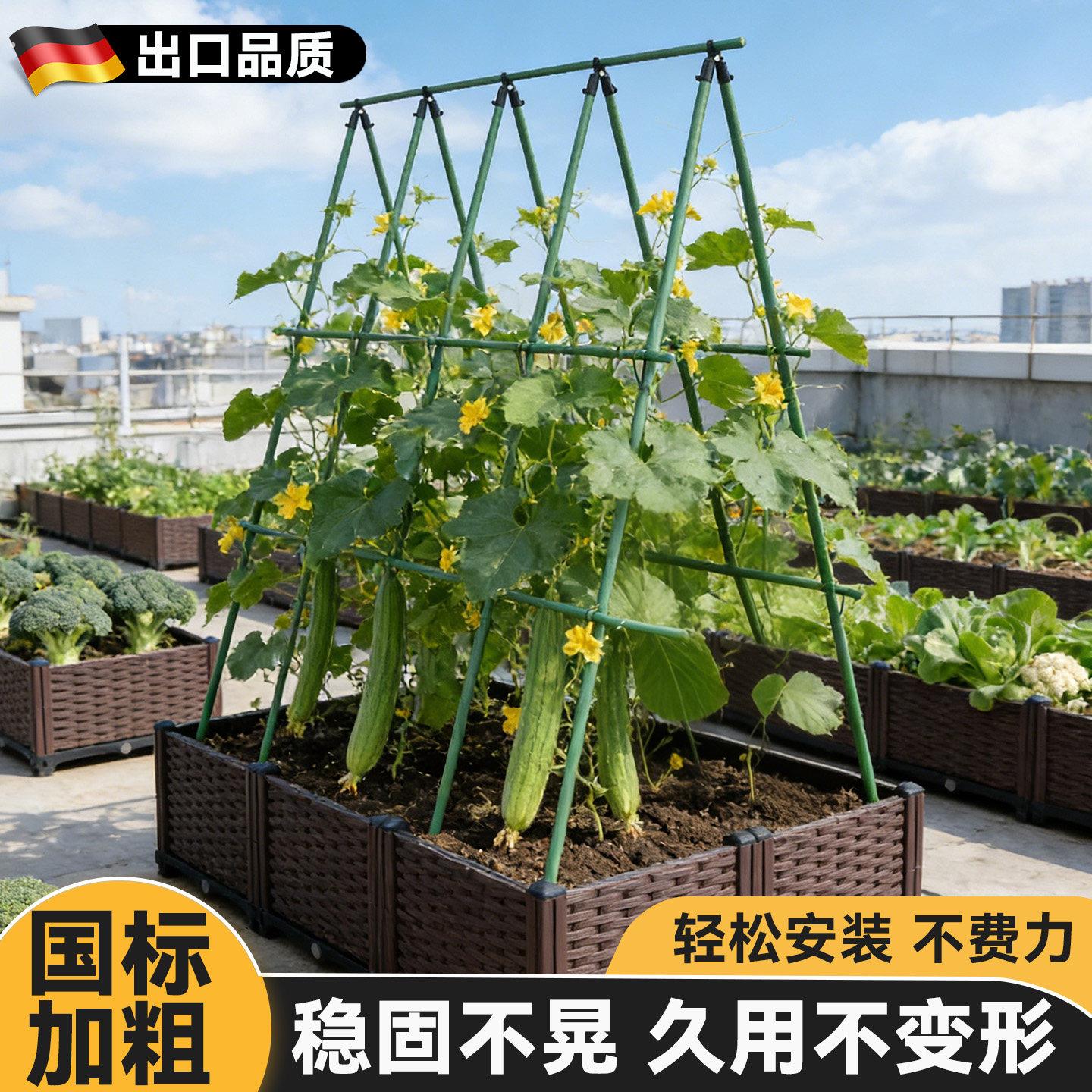丝瓜爬藤架子黄瓜架杆搭豆角架庭院种菜架子西红柿支撑架西瓜架子