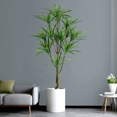 真植物 吊兰树真龙血树大型落地绿植盆栽室内客厅家装摆件假