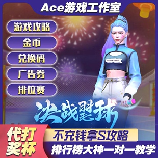 决战羽毛球 代打上王者 排位赛 竞技场奖杯代刷