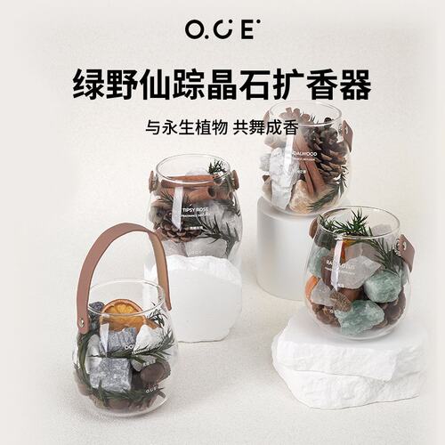 OCE香薰晶石精油扩香石礼盒绿野仙踪摆件卧室高级生日礼物圣诞