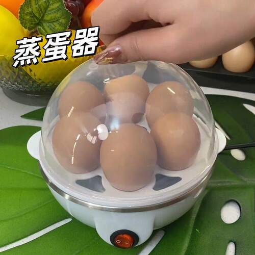 蒸蛋器一人家用小型新款自动断电防干烧多功能双层煮蛋器早餐神器