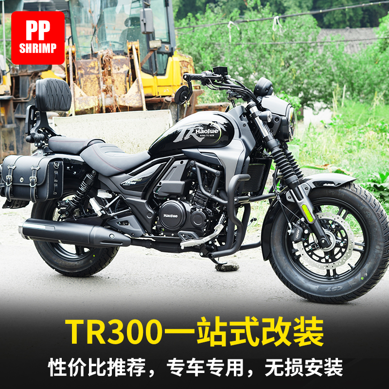 PPshrimp适用豪爵TR300PLUS折叠靠背货架可翻折 快拆全盔防水边包