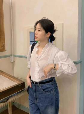 viaplain现H25秋款韩国东大门宽松纯色V领微透褶皱灯笼袖上衣衬衫