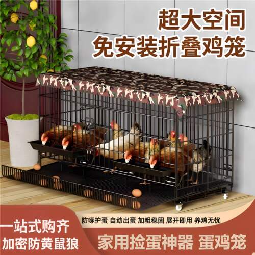 小鸡专用笼子家用室外防雨大号