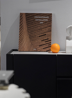 当代装置艺术真书艺术黑米白灰颜色硬壳精装简约现代陈设摆件