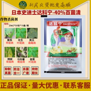 达科宁40%百菌清日本黄瓜番茄葡萄霜霉疫病炭疽病农药杀菌剂20ml