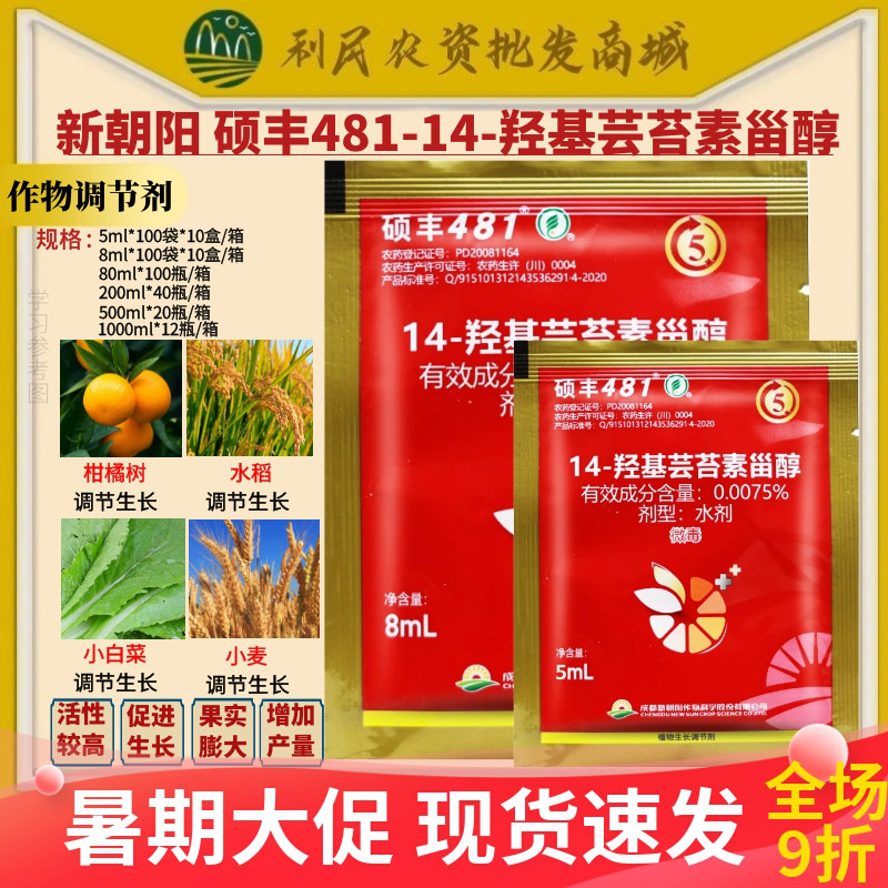 整盒发货新朝阳硕丰481
