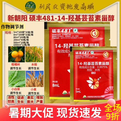 整盒发货新朝阳硕丰481