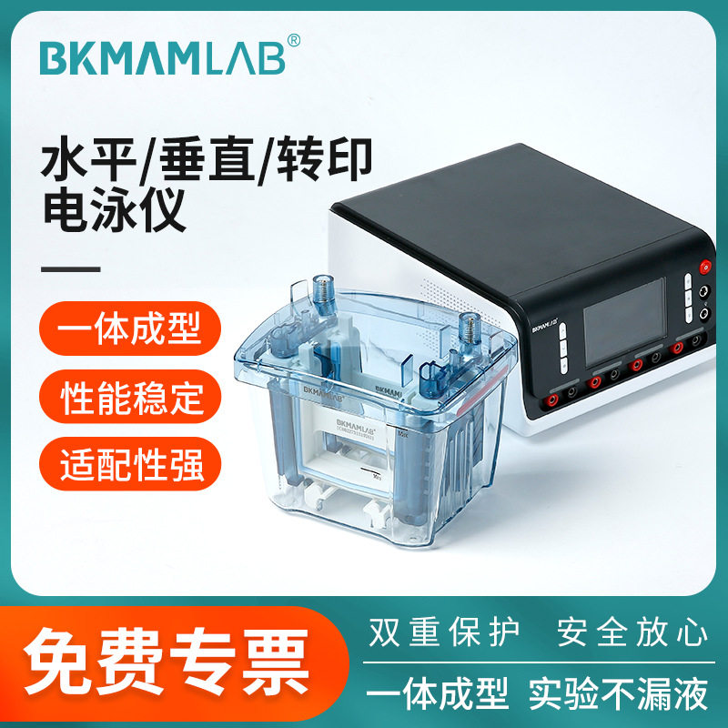 比克曼生物水平垂直电泳