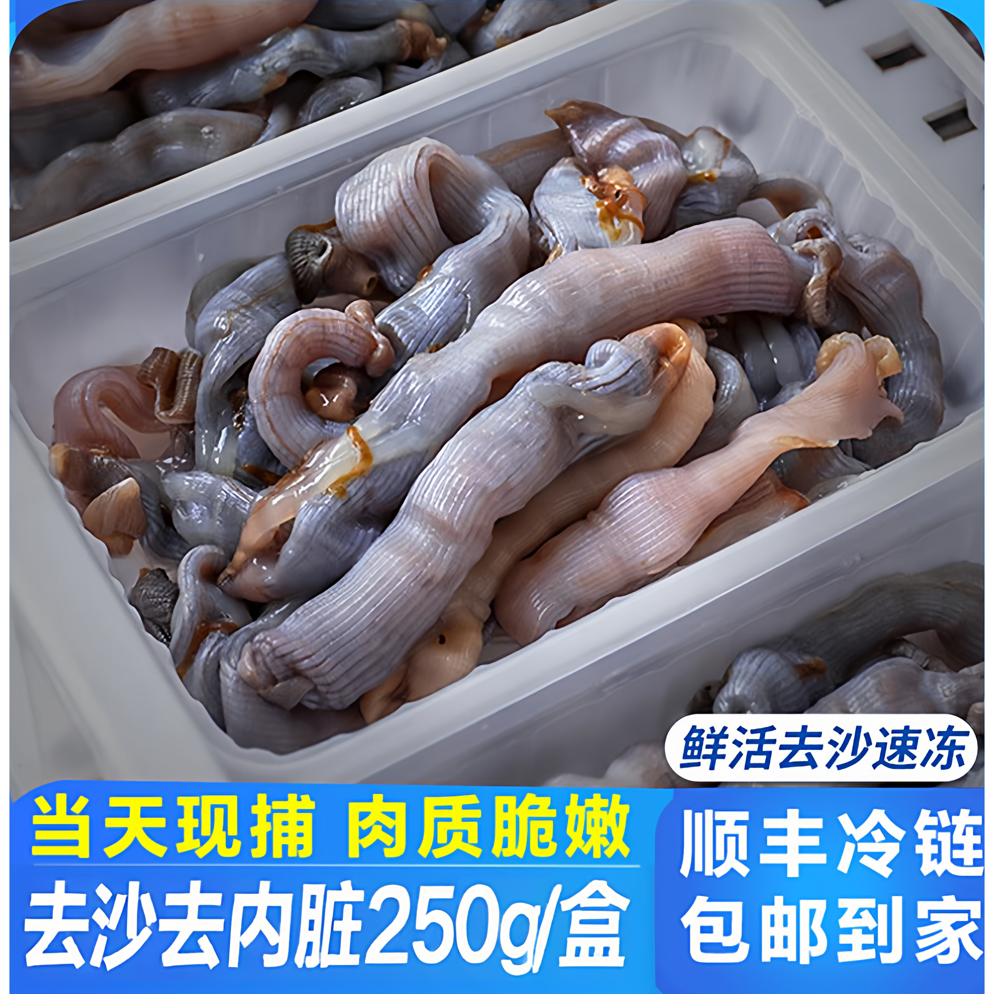 鲜活沙虫新鲜现杀去内脏3盒750克沙蚕方格星虫泥丁泥虫海肠子顺丰