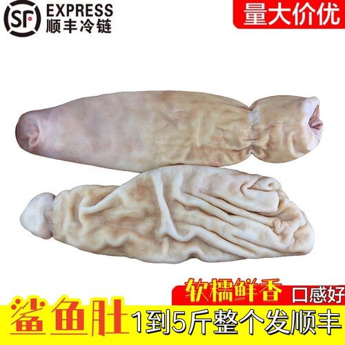 深海鲨鱼肚新鲜1到5斤整个鱼胃