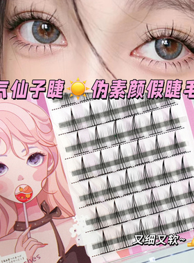 睫天使空气仙子细梗空气单簇
