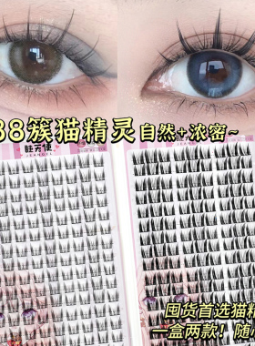 睫天使288簇大容量懒人猫精灵