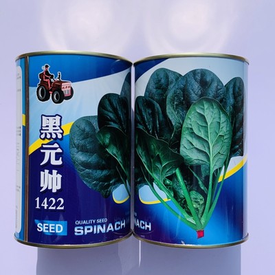 黑元帅1422杂交菠菜中早熟直立圆叶叶肉厚叶片黑绿带光泽400g