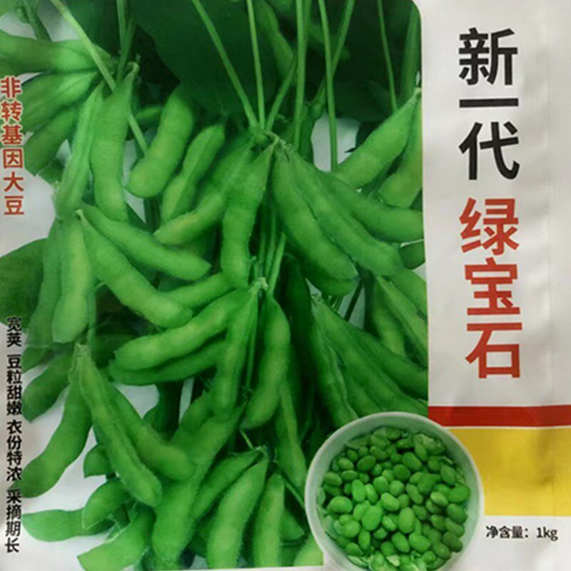 大荚菜毛豆种子绿宝石黄豆种子鲜食青豆豆种子春季蔬菜菜大豆种籽