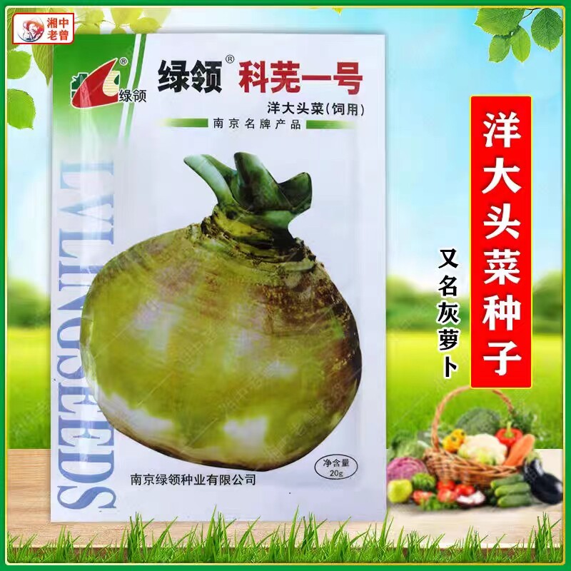 绿领科芜一号大头菜种子洋大头种肉质根圆形肉白绿色细嫩腌制炒吃