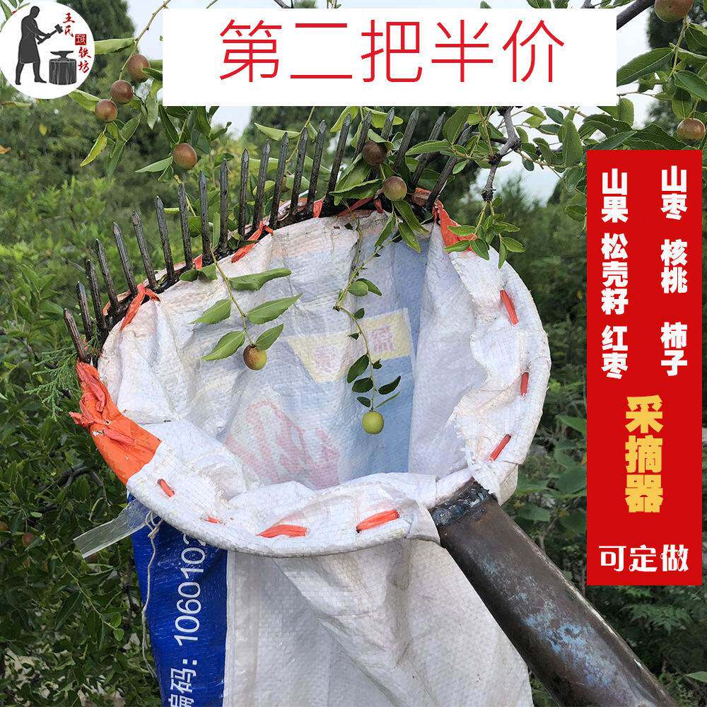 摘酸枣小神器柏树籽松壳耙子柏树壳采摘器酸枣核桃柿子山枣红枣