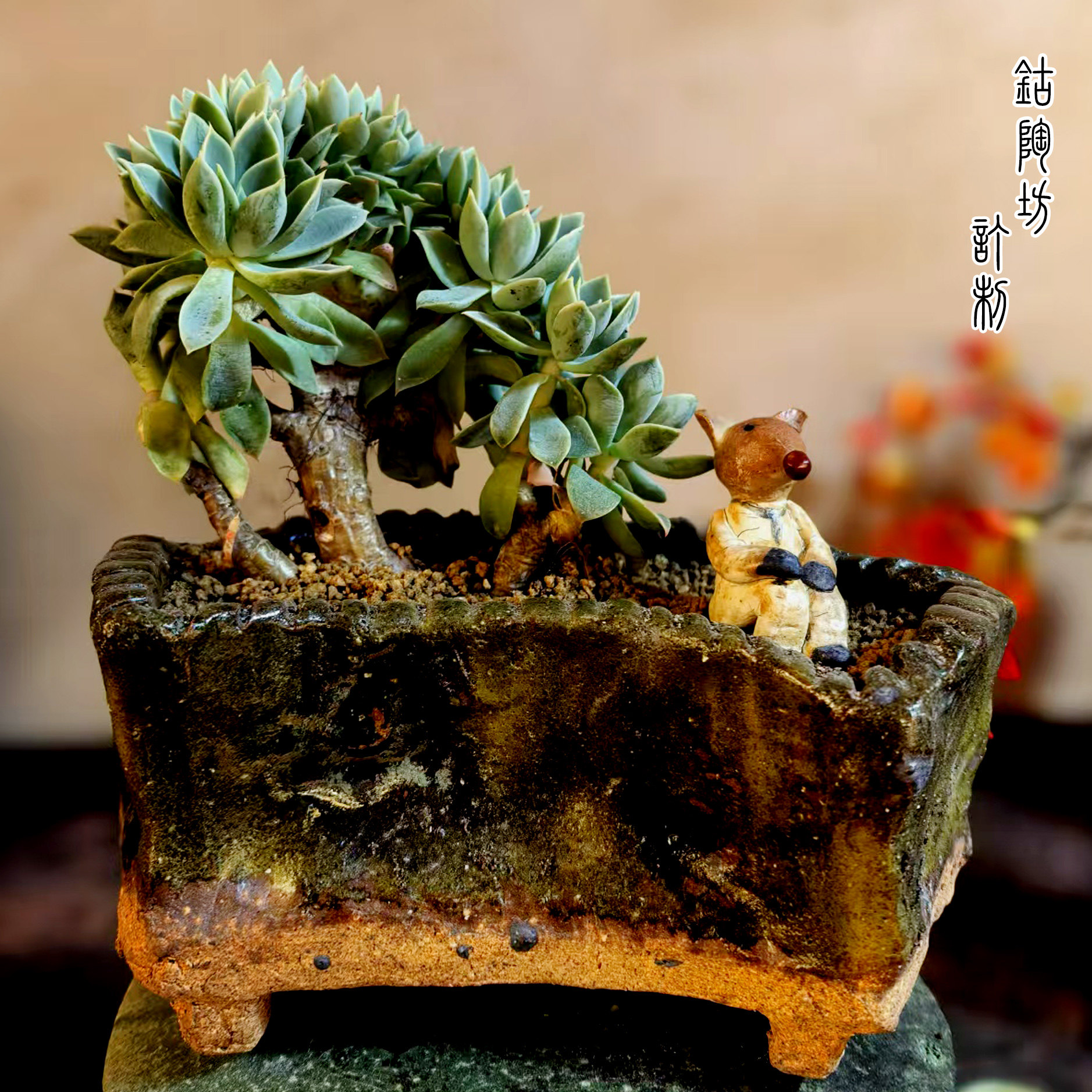 特价复古粗陶古钰美捡漏手工多肉盆景椭圆方口盆小长方盆独特异形,鲜花速递/花卉仿真/绿植园艺,花盆,淘宝优惠券,粉丝福利购,淘宝优惠卷