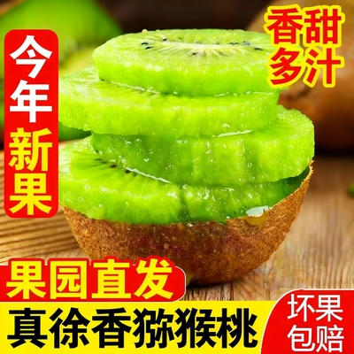 正宗陕西眉县徐香猕猴桃应季新鲜水果整箱甜绿心奇异果迷糊桃包邮