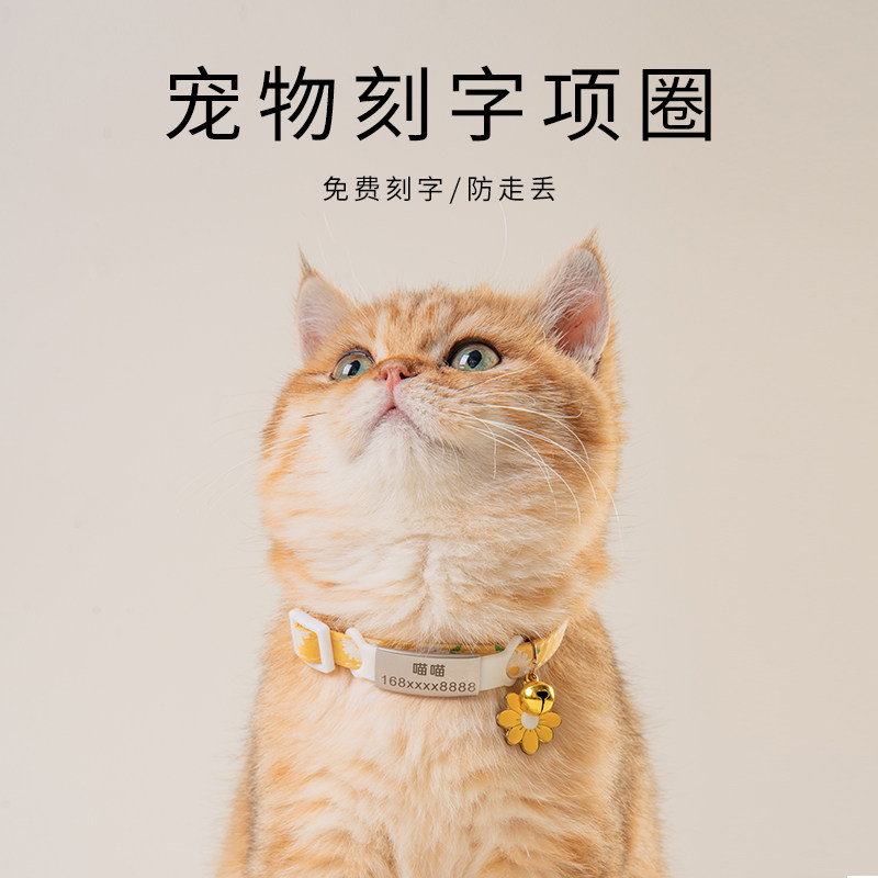 猫咪刻字项圈防丢失猫牌小狗狗脖圈围脖项链幼猫脖子宠物饰品用品