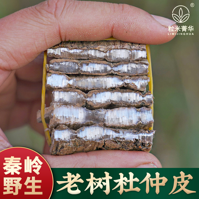 杜仲中药材500g克正品野生杜仲皮杜仲肚仲泡茶泡酒去粗皮杜仲片-封面