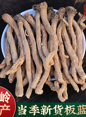 板蓝根500g包邮 中药材板蓝根 植物板兰根 天然无硫半蓝根泡水茶