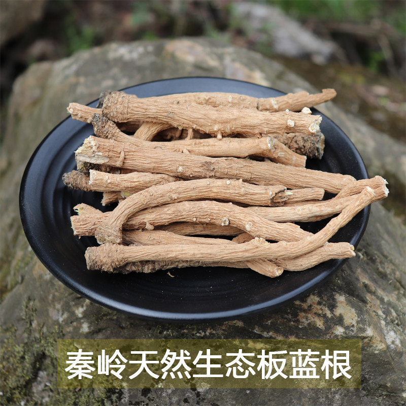 板蓝根500g包邮 中药材板蓝根 植物板兰根 天然无硫半蓝根泡水茶