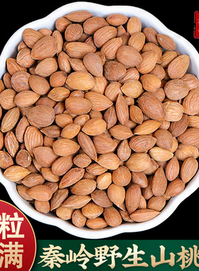 桃仁中药材正品桃仁生药用桃仁中药野生桃仁带皮桃仁干