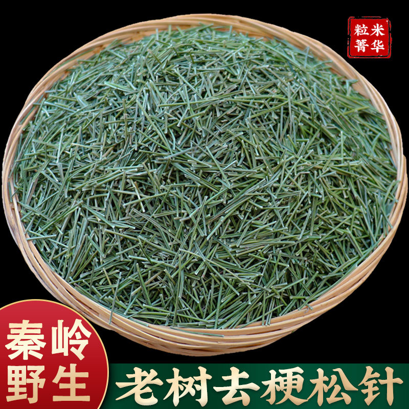 中药材松针天然松针秦岭野生松针干松针叶全松茶新鲜正品松针粉