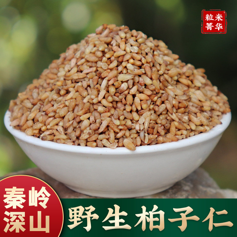 野生柏子仁秦岭成熟新货去壳图片