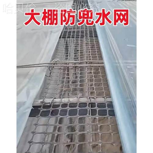 大棚防兜水网放风口积水防雨雪小孔塑料网格网拖膜防鸟网鱼塘果园