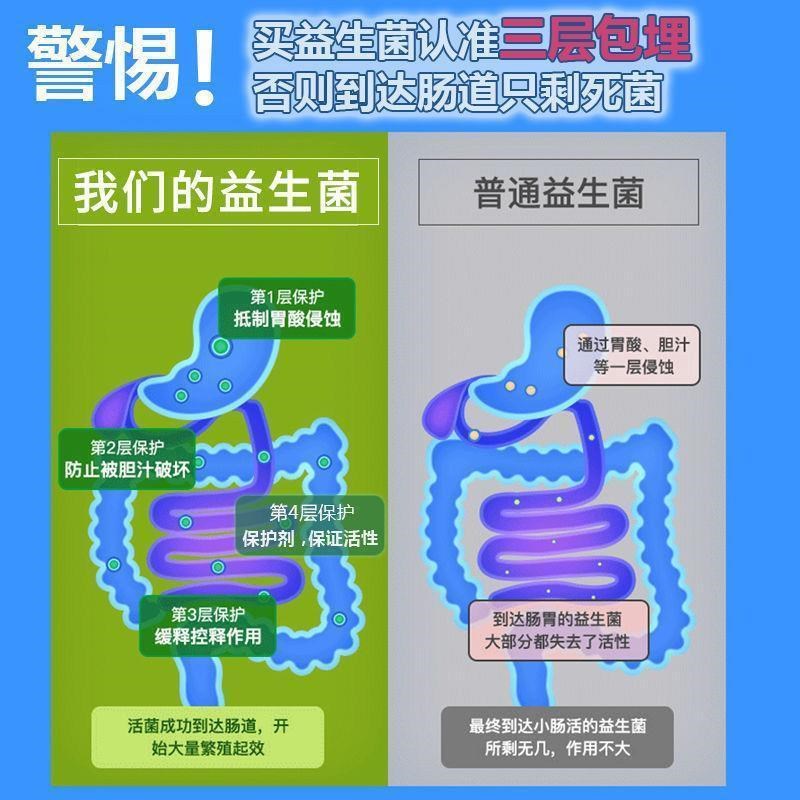 佰潼新康益生k菌冻干粉活菌肠胃消化益生元