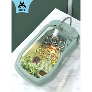 。包邮 乌龟缸送2只小乌龟活体巴西龟物带晒台龟盆宠物盒儿童礼物