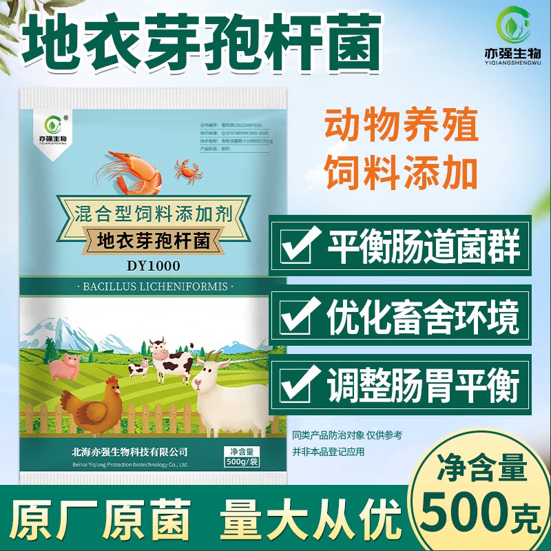 地衣芽孢杆菌畜禽养殖专用菌