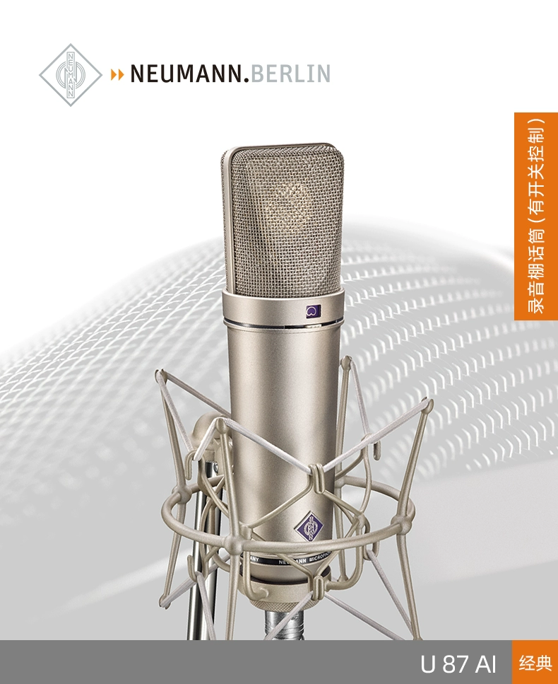 neumann/诺音曼 u87 kms105 m149 tlm103 tlm102 专业纽曼麦克风