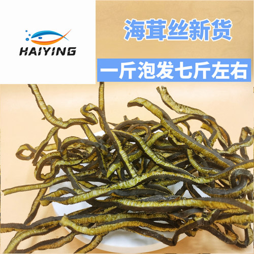 海茸丝当季新货海笋海松茸凉拌菜