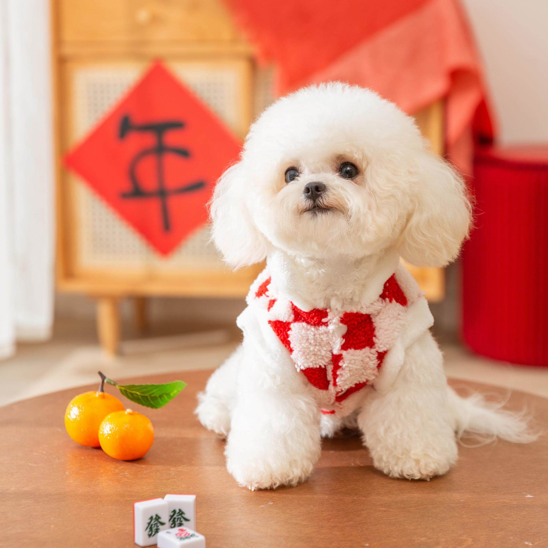 小狗新年款红色唐装保暖加厚两脚棉衣过年喜庆猫咪小型犬宠物衣服