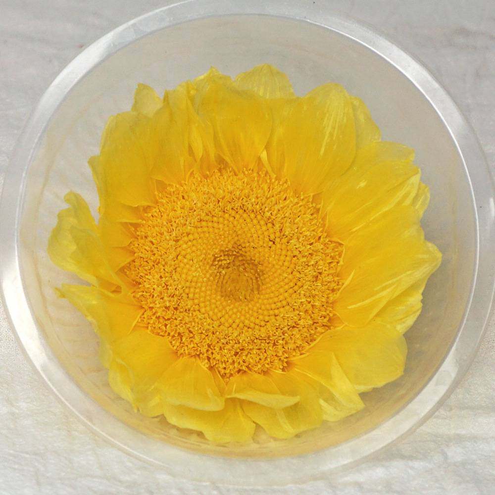 永生花向日葵黑心太阳花干花保鲜花花艺制作者教师节花材