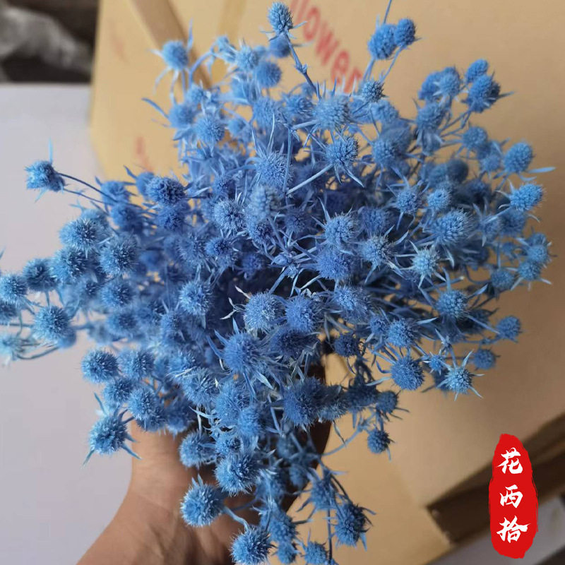 永生情人果干花云南基地25色小刺芹家居装饰压花花材插花配材