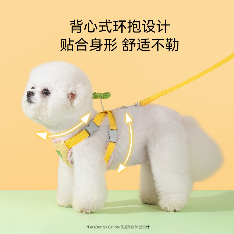 宠物狗狗牵引绳胸背款外出遛狗绳防止挣脱约克夏雪纳瑞小型幼犬用