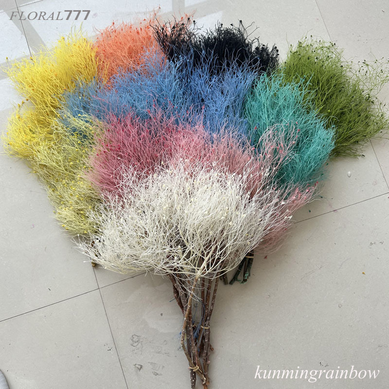 【永生梦幻草】 永生花干花花材羽毛草龙须草 漂白漂色梦幻草柔丝