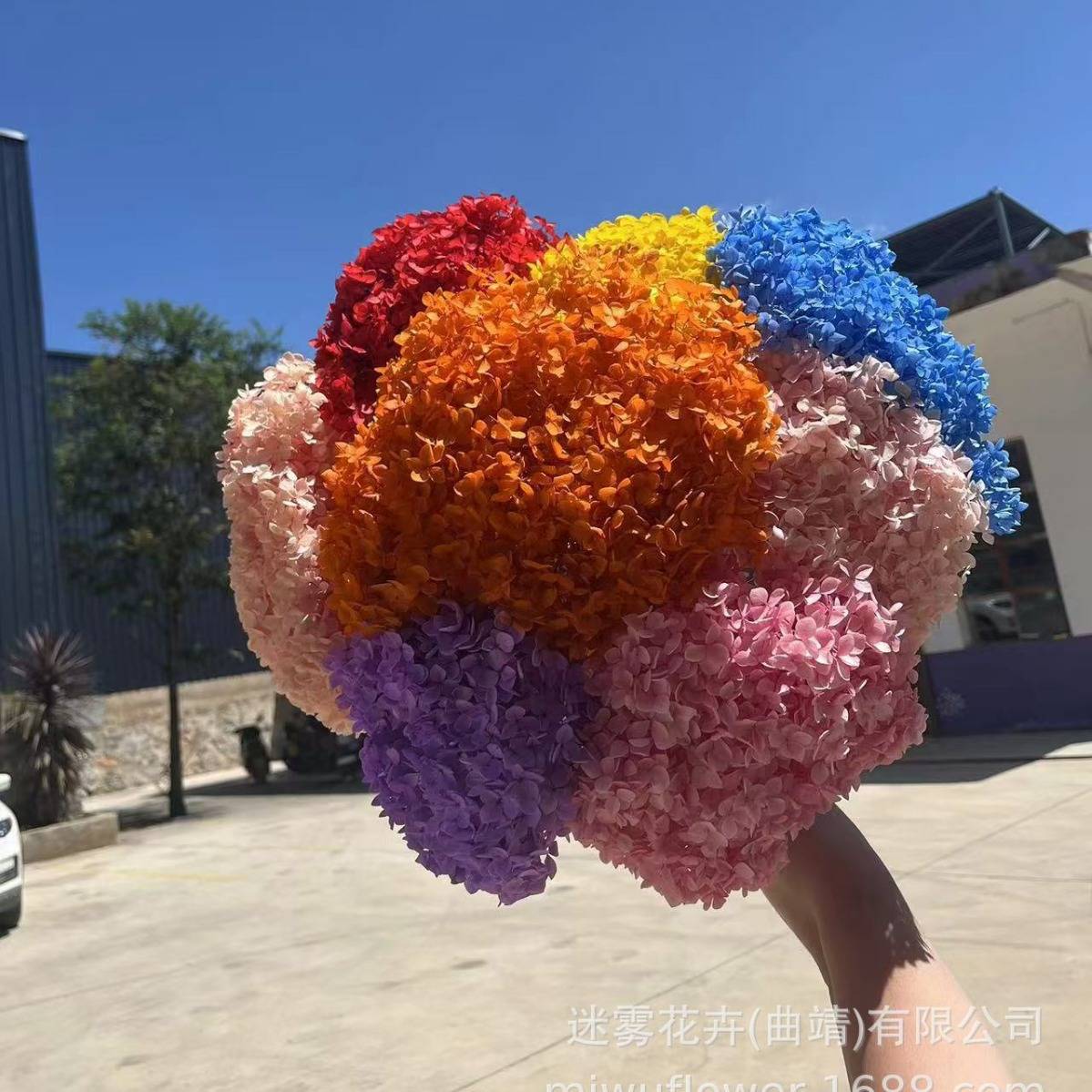 绣球花永生花小叶安娜绣球AB级干花真花道具配花婚礼花束装饰