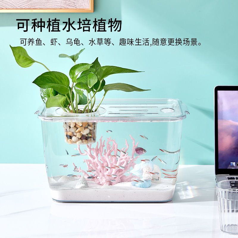 家用鱼缸中小型生态造景
