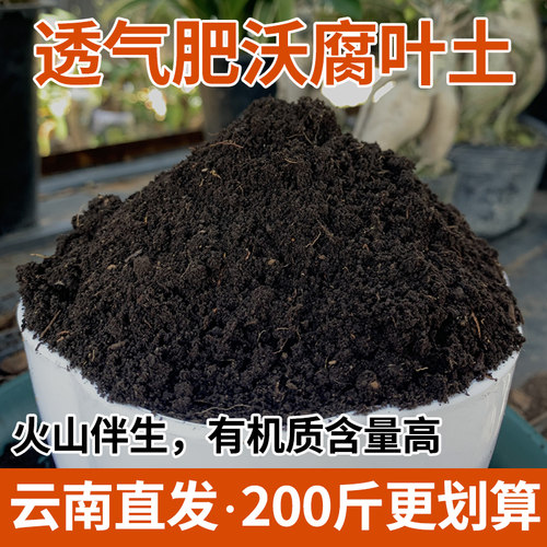 疏松透气有机腐叶土50斤肥效十足
